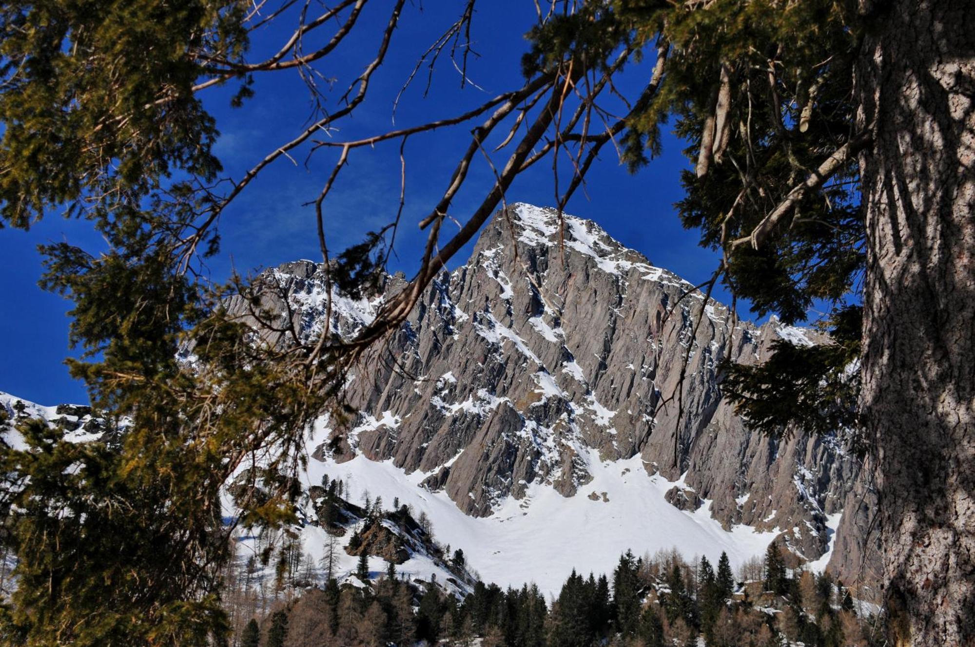 Residence Taufer San Martino Di Castrozza Εξωτερικό φωτογραφία